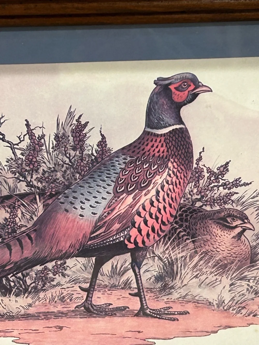 Vintage Pheasant Print Homco Home Interiors Picture in Distressed Wood Frame